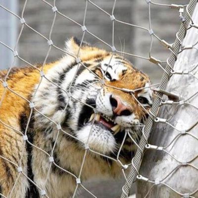 Ogrodzenie z sieci zoo z stali nierdzewnej sieć liniowa o wysokiej wytrzymałości