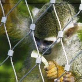 1.5mm 50mm Hole Stainless Steel 304 Cable Mesh for Animal Enclosures and Zoo Mesh