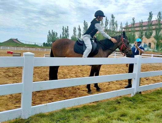 Wytrzymałe 3 szyny Koń Płot rolniczy z PCV Plastikowy winylowy ranczo Paddock Ogrodzenie dla koni