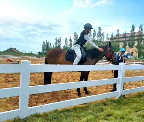 bydło winylu 3 szyby PVC 2 szyby koniu paddock farmy ogrodzenie post ranczo