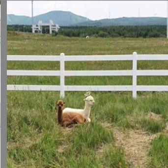 3 szynki 1,8*2,5m PVC ogrodzenie rolnicze Plastic Vinyl Ranch Paddock Horse Fence