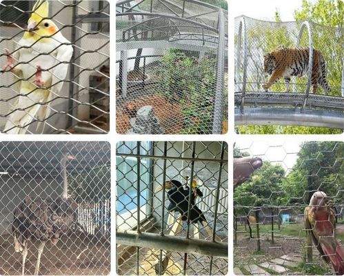 Siatka kablowa ze stali nierdzewnej 304, czerniona do woliery zoo