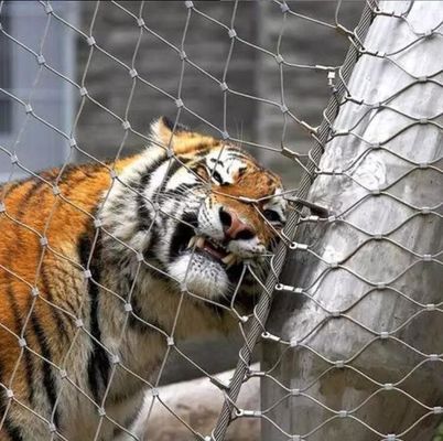 Lekkie wysokiej wytrzymałości 304 316 sieć liny ze stali nierdzewnej do ogrodzenia zoo