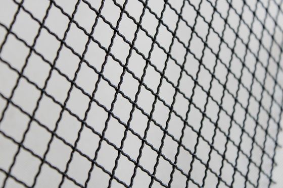 316L ze stali nierdzewnej Woven Locked Crimped Wire Mesh for Architecture