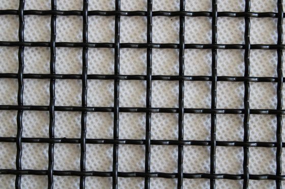 316L ze stali nierdzewnej Woven Locked Crimped Wire Mesh for Architecture