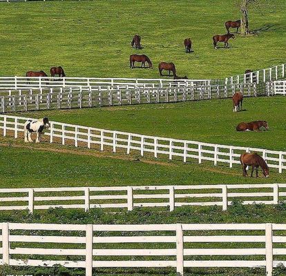 Ogrodzenie z siatki spawanej antypoślizgowej No Rot 4 Rails Post And Rail White Pvc For Horse Farm