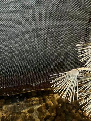 Dekoracyjna draperia ze stali nierdzewnej do siatki ściennej wodospadu